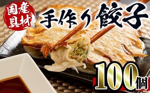 i219 国産豚肉使用！手作り餃子100個セット(10個×10パック）【スーパー