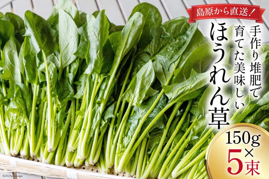 楽天市場】10kg（ほうれん草｜野菜・きのこ）：食品の通販