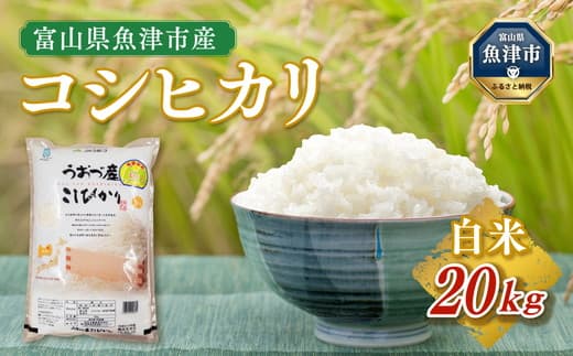 令和7年度米】富山県 うおづ産米「コシヒカリ」20kg（5kg×4袋）（精米 