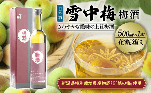 草取り 代行プラン S（上越市内限定）草刈り 手作業 雑草 除草