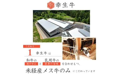商品の画像(小)