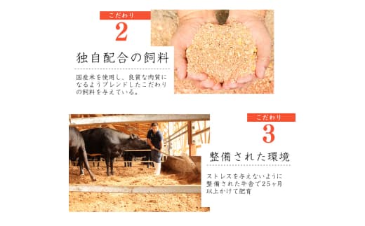 商品の画像(小)