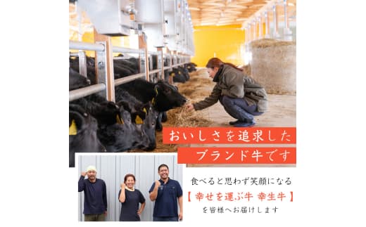 商品の画像(小)