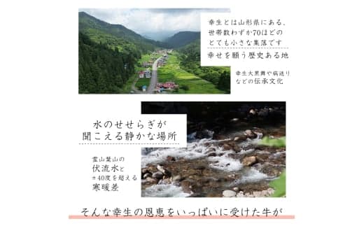 商品の画像(小)