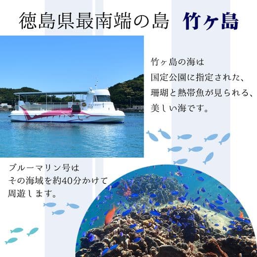商品の画像(小)