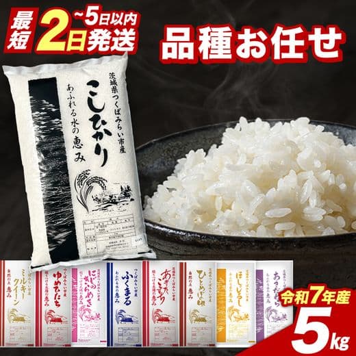 3か月定期便10kg】【新米予約】令和8年産 ヒノヒカリ 精米 八千種米 お 