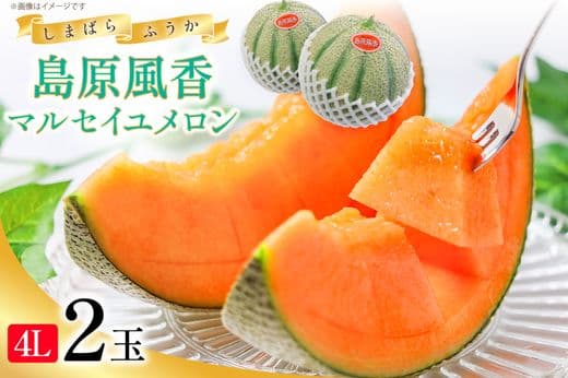 CF108【令和8年度出荷分】マルセイユメロン～島原風香～（4L×2玉 