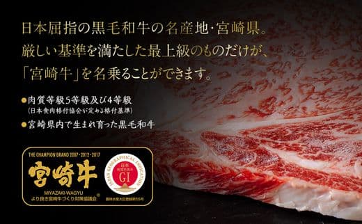 商品の画像(小)